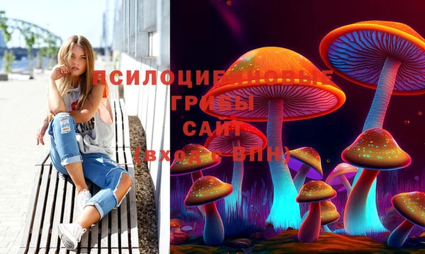 герыч Пестово