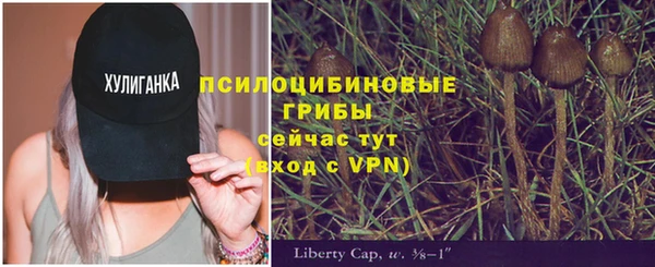 герыч Пестово