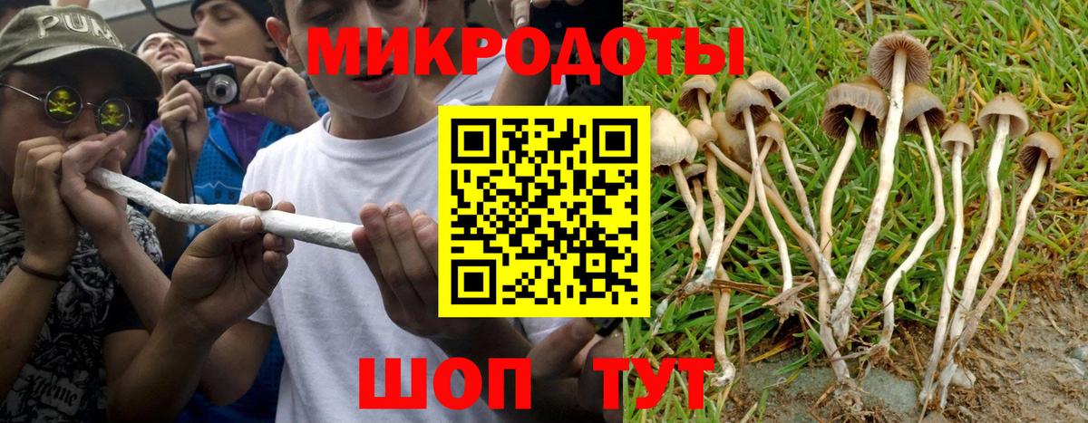 Псилоцибиновые грибы GOLDEN TEACHER Стерлитамак