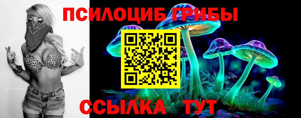 магазин    Галлюциногенные грибы MAGIC MUSHROOMS  Вход с VPN  Стерлитамак  Галлюциногенные грибы GOLDEN TEACHER 